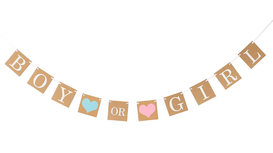 boy or girl 拉旗 | baby shower / gender reveal party
