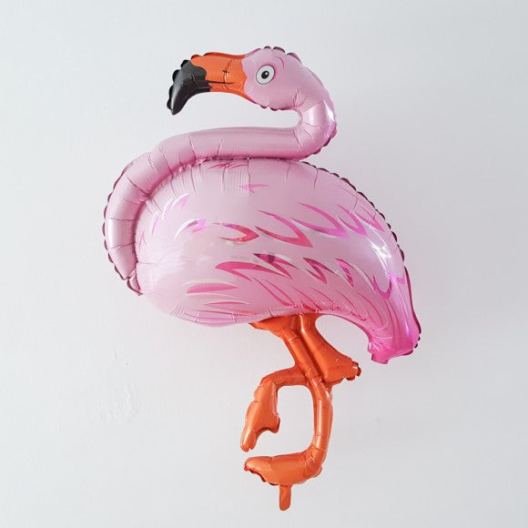 火烈鳥 | flamingo